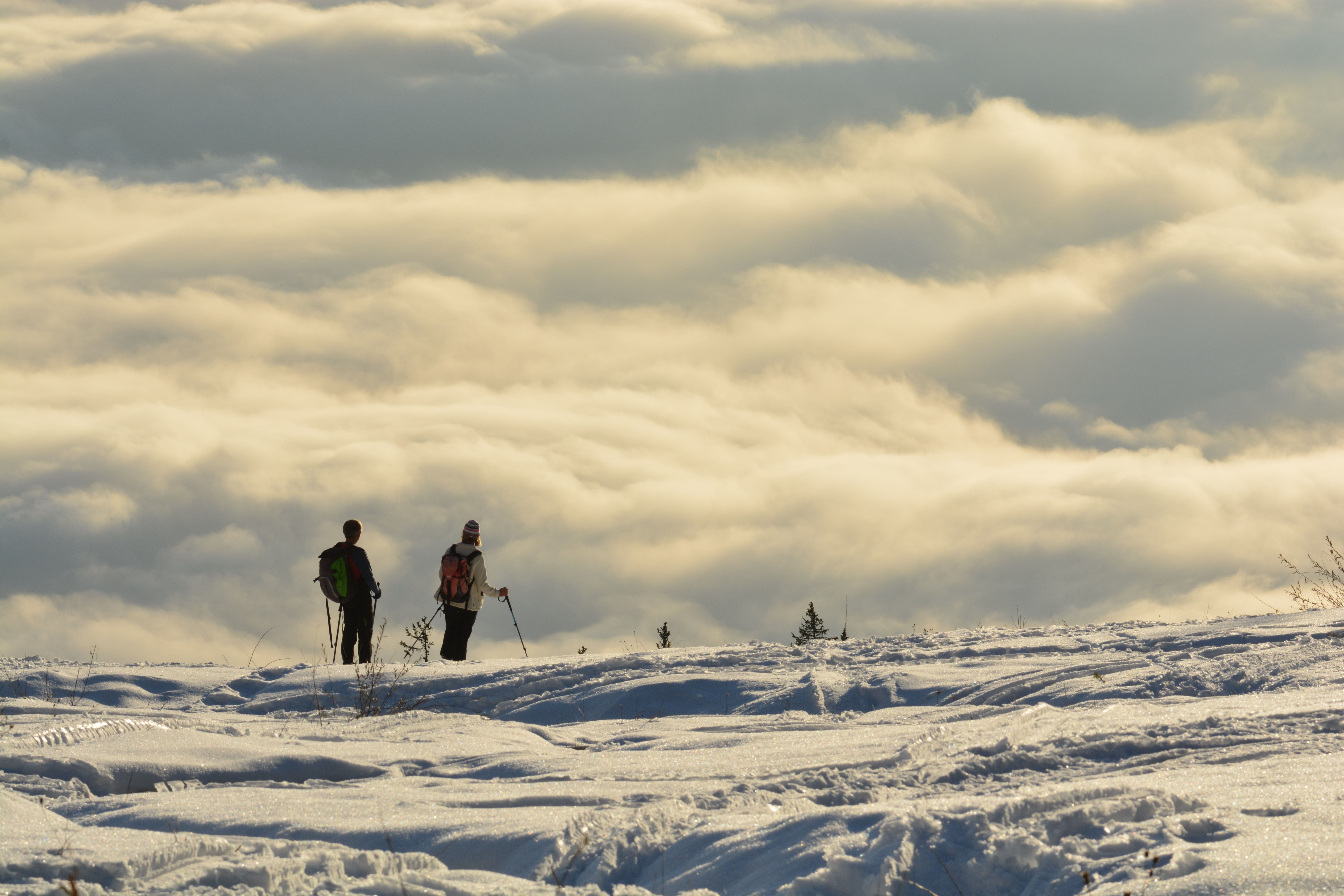 Ski nordique et ski de randonnée